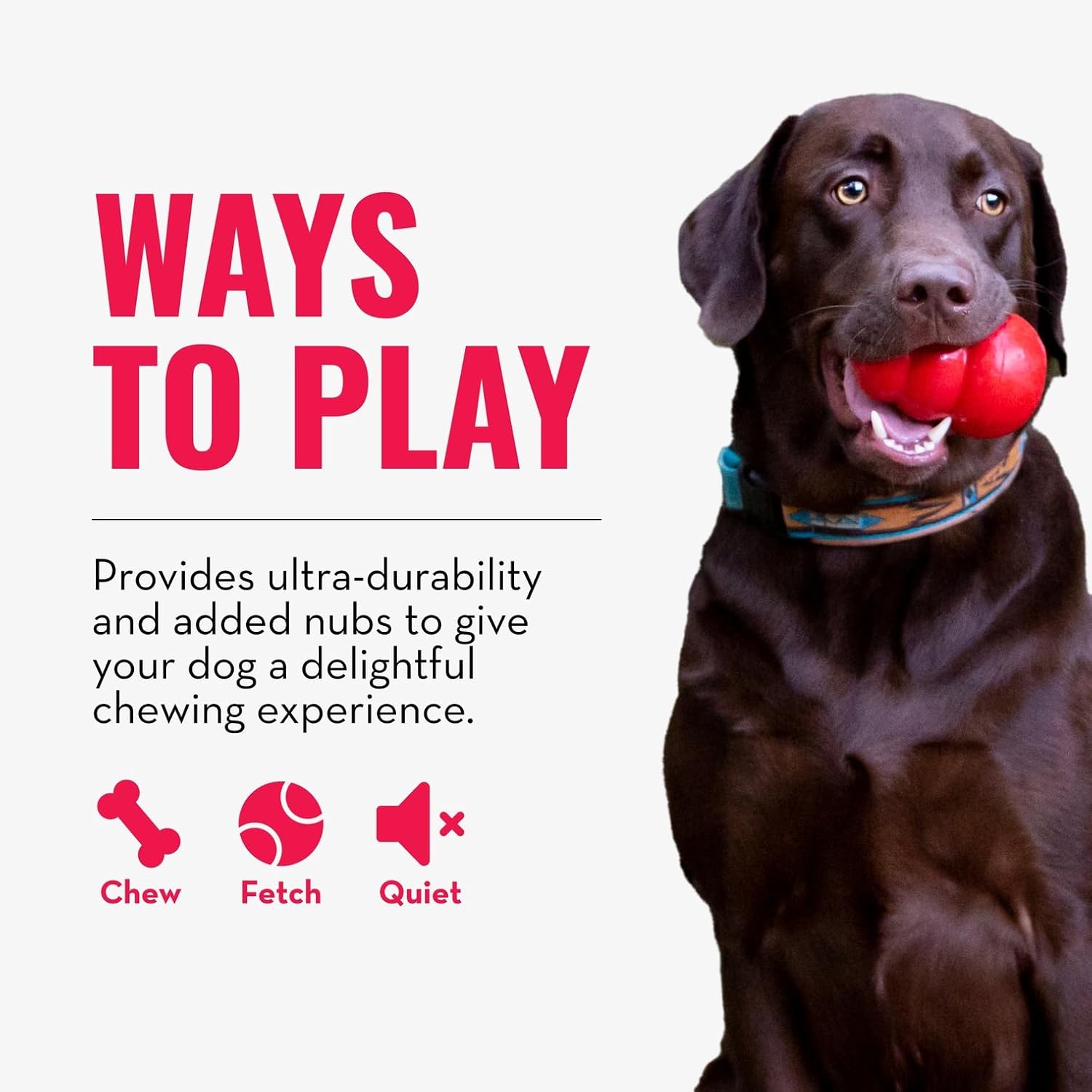 KONG Ring - Natural Rubber Ring Toy for Healthy Chewing Habits - Chew Toy Supports Dog Dental Health - Dog Toy Supports Instincts During Playtime - for Medium/Large Dogs - Image 5