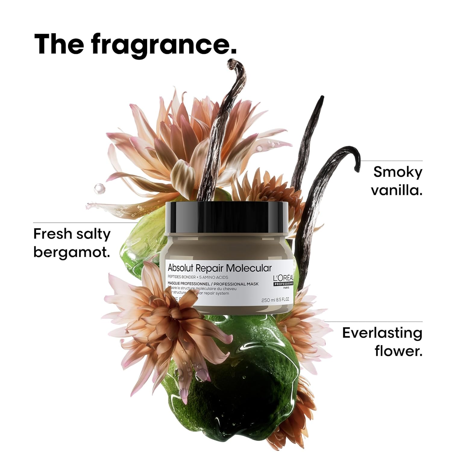 L'Oréal Professionnel Paris Absolut Repair Molecular Hair Mask - Repairs Damage & Restores Strength For Extremely Dry Damaged Hair, Extra Detangling & Hydration, Peptides Bonder - Image 6