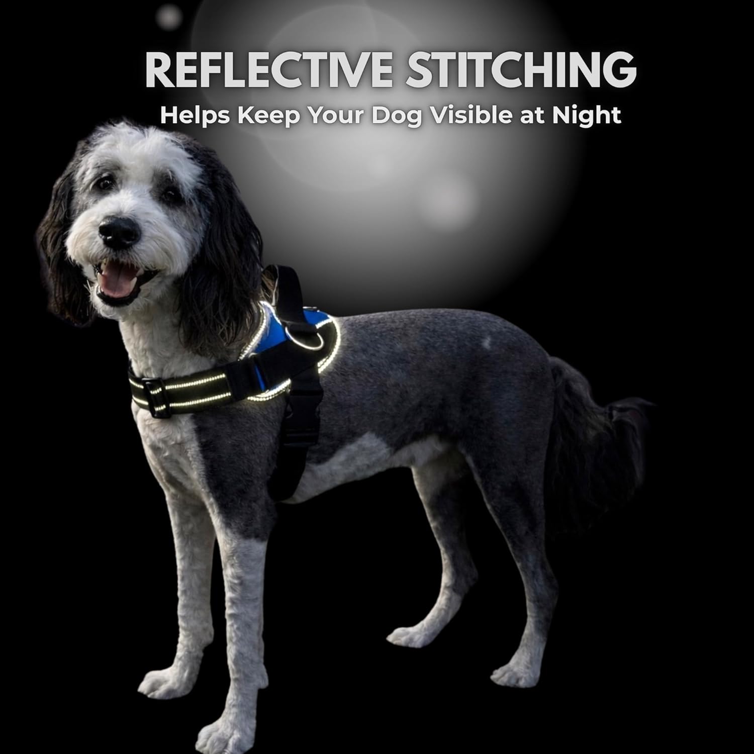 ShawnCo Essential Dog Harness, No-Pull Pet Vest with 3 Leash Clips, No Choke, Reflective, Adjustable and Padded, for Easy Walking and Training for Small, Medium and Large Dogs (Oceanic Blue, S) - Image 7