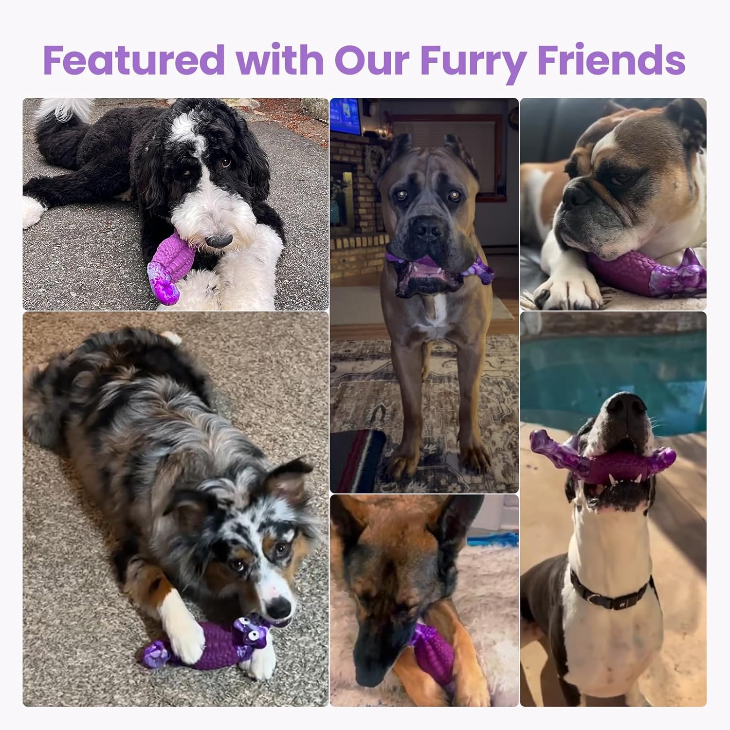 HGB Tough Dog Chew Toys for Aggressive Chewers, Squeaky Indestructible Dog Toy for Large Dogs to Keep Them Busy & Reduce Boredom for Small, Medium, Large Breed, Bacon Flavor - Image 7