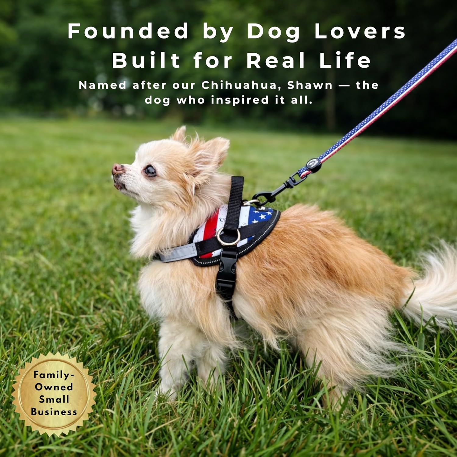 ShawnCo Essential Dog Harness, No-Pull Pet Vest with 3 Leash Clips, No Choke, Reflective, Adjustable and Padded, for Easy Walking and Training for Small, Medium and Large Dogs (Oceanic Blue, S) - Image 9