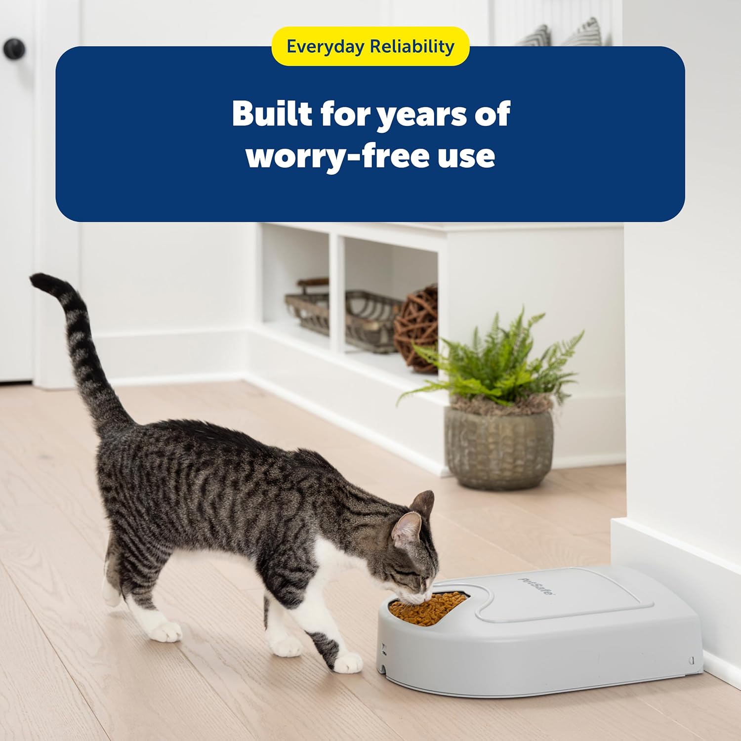 PetSafe Automatic Dog Feeder, 5 Meals, 40 oz Capacity, Plastic, for Dry Food, Multiple Pets - Image 7