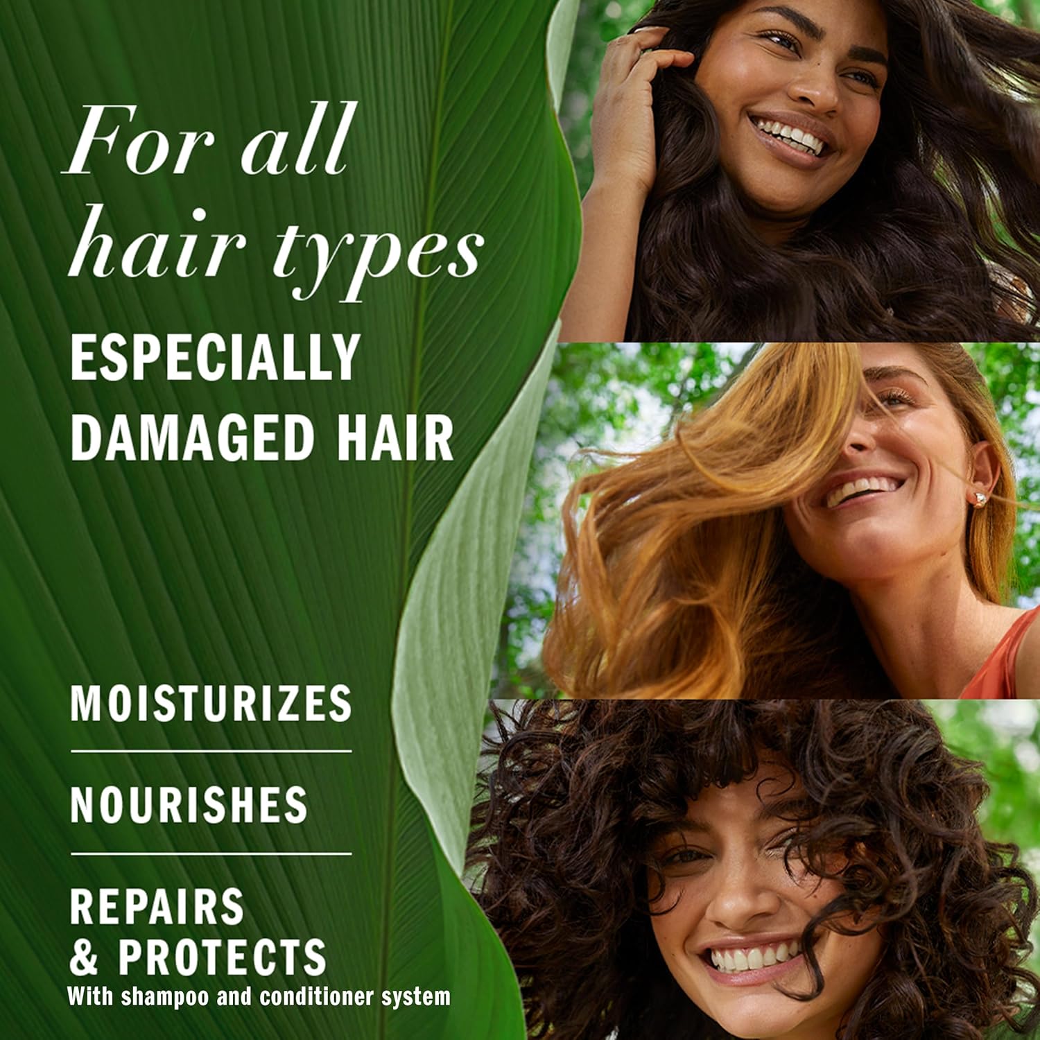 Herbal Essences Avocado Oil Sulfate Free Shampoo, Hair Repair, 13.5 Fl Oz, with Certified Camellia Oil and Aloe Vera, For All Hair Types, Especially Damaged Hair - Image 2