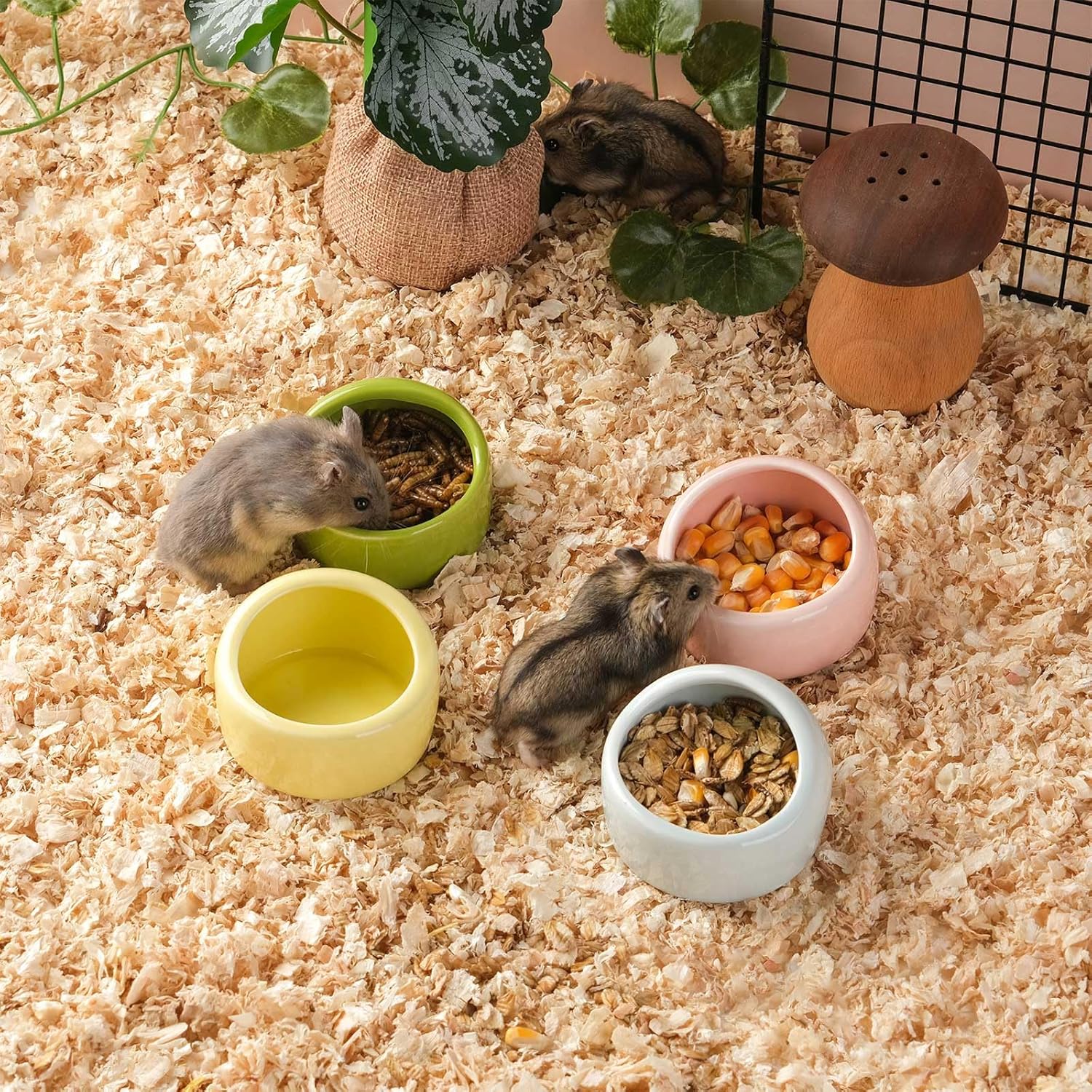 VanEnjoy 4 Pack Small Hamster Food Bowl Ceramic Guinea Pig Food Dish No Spill Hamster Food and Water Bowl Small Animal Food Bowl - Pink Blue Yellow and Green - Image 3