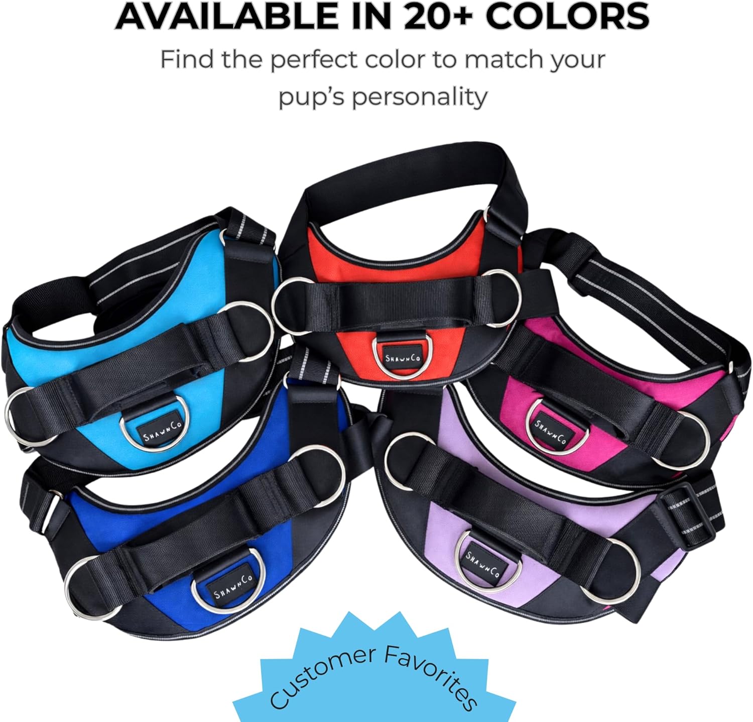 ShawnCo Essential Dog Harness, No-Pull Pet Vest with 3 Leash Clips, No Choke, Reflective, Adjustable and Padded, for Easy Walking and Training for Small, Medium and Large Dogs (Oceanic Blue, S) - Image 6