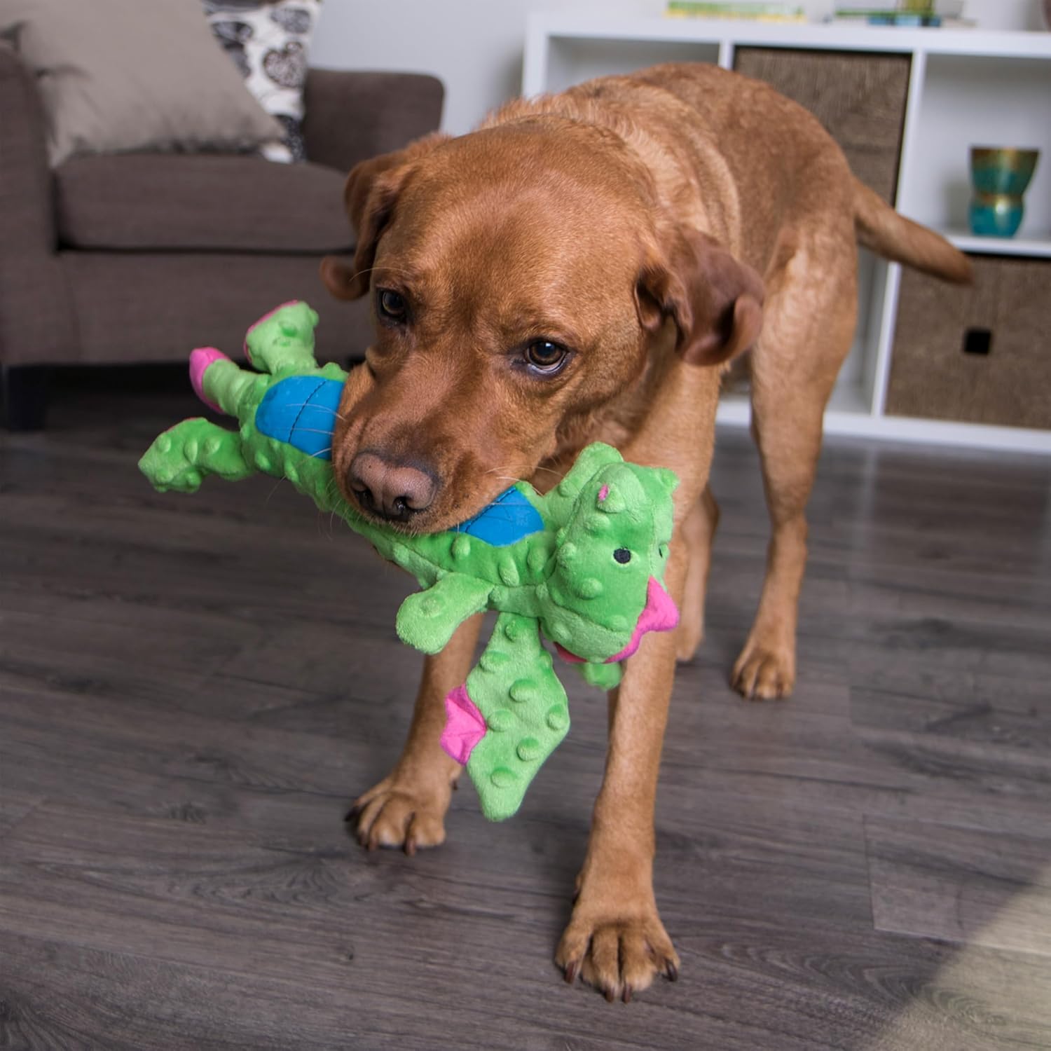 goDog Bubble Plush Skinny Dragons Squeaky Plush Dog Toy, Chew Guard Technology - Green, Large - Image 7