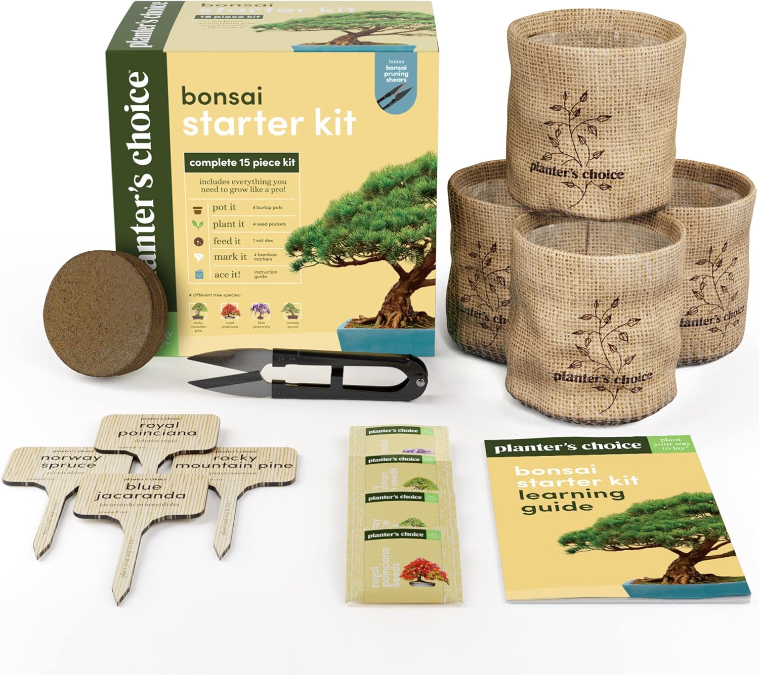 Bonsai Starter Kit - Gardening Easter Gift for Women & Men - Bonsai Tree Growing Garden Crafts Hobby Kits for Adults, Unique DIY Hobbies for Plant Lovers - Unusual Christmas Gifts Ideas - Image 8
