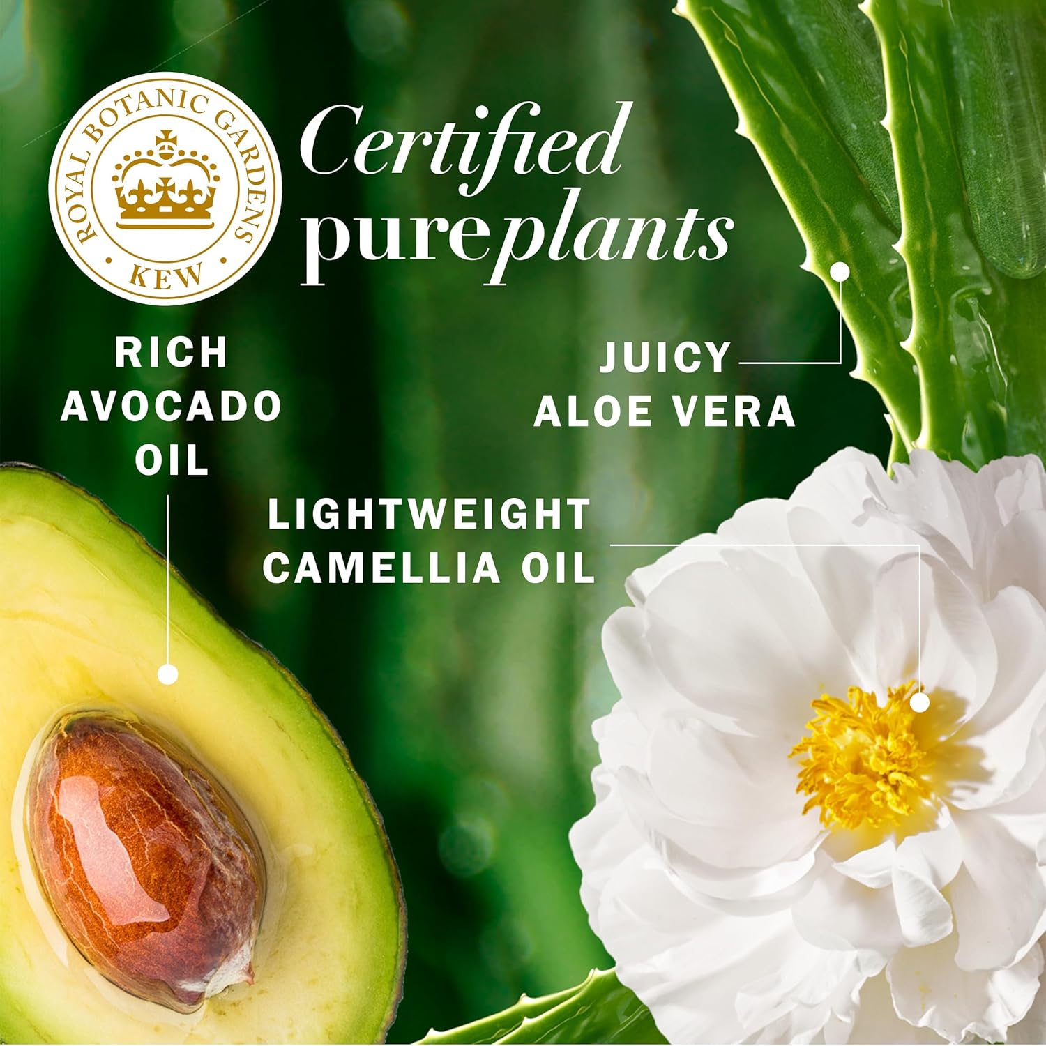 Herbal Essences Avocado Oil Sulfate Free Shampoo, Hair Repair, 13.5 Fl Oz, with Certified Camellia Oil and Aloe Vera, For All Hair Types, Especially Damaged Hair - Image 3