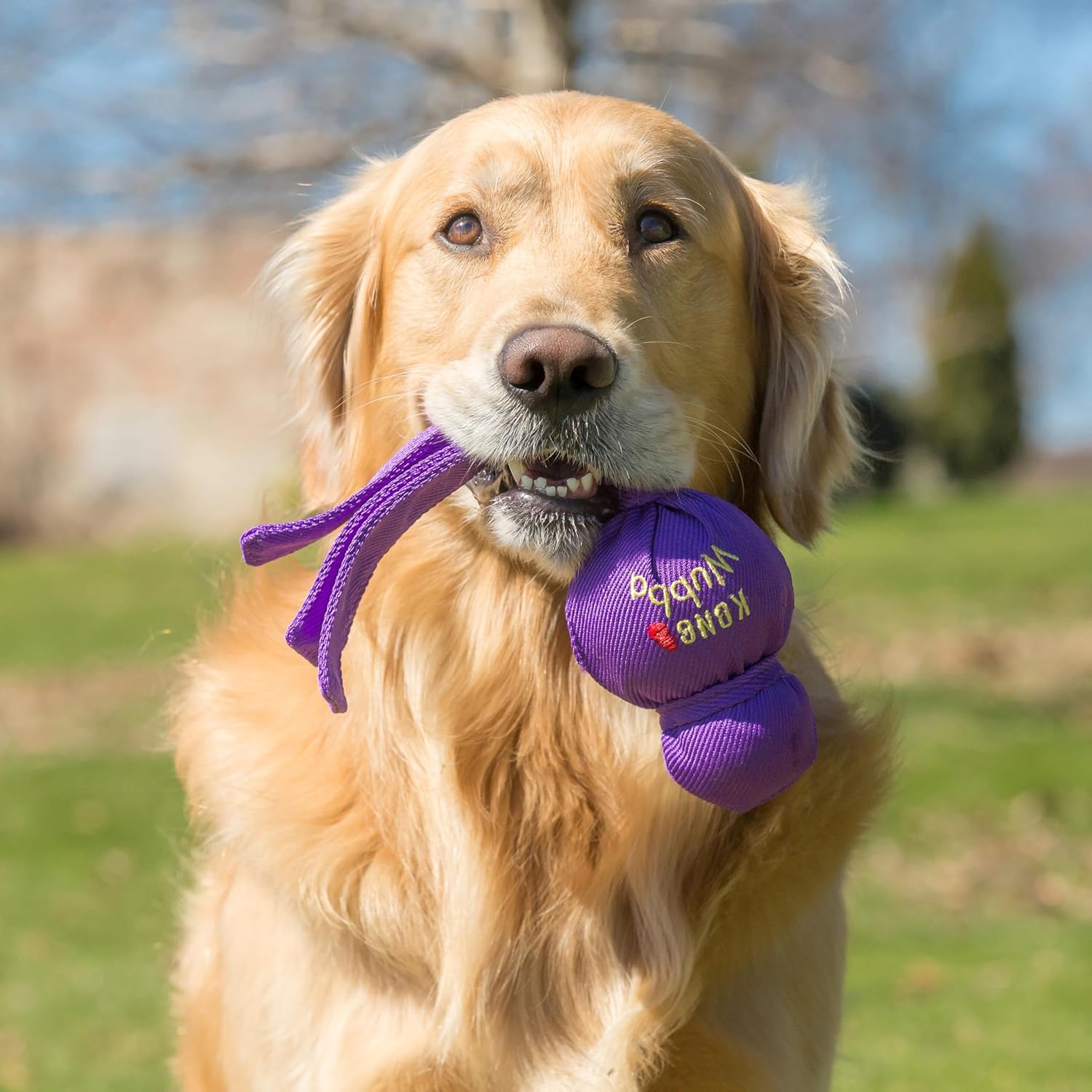 KONG Wubba - Dog Toy for Tug of War & Fetch - Dog Supplies for Puppy & Dog Playtime - Outdoor & Indoor Dog Toy - for XL Dogs - Randomly Provided Color - Image 2