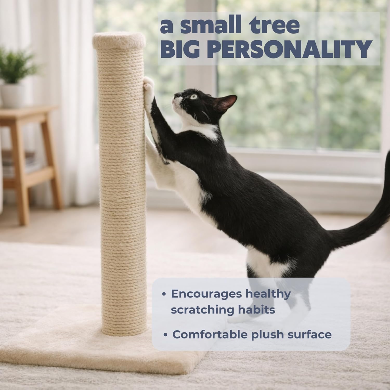 Trixie Parla Cat Scratching Post 24.4 Inch - Cat Scratcher with Soft Fabric Covering Base and Durable Natural Jute Rope - Beige - Image 2