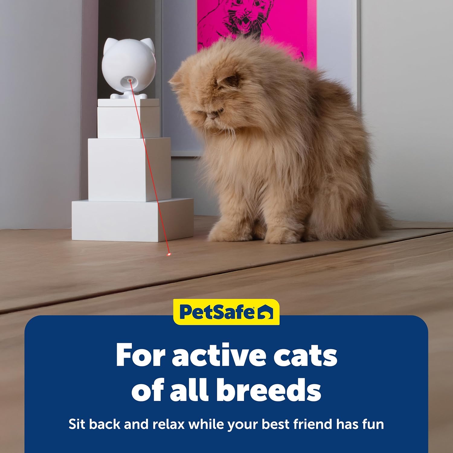 PetSafe Dancing Dot Laser Cat Toy - Encourages Exercise & Mental Stimulation - Random Laser Patterns - Battery Operated - Safe for Cats - Award-Winning - Compact Design - Image 6