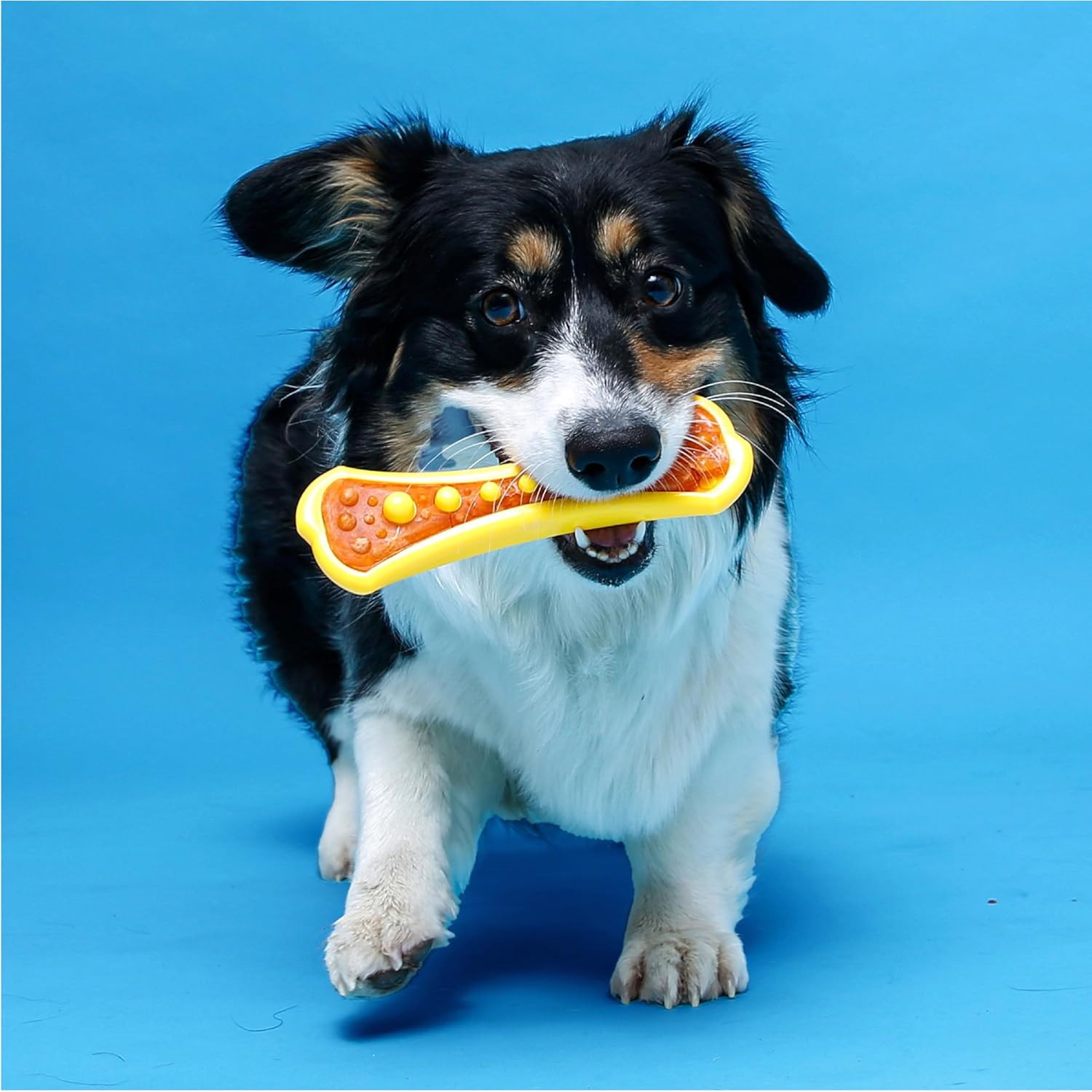 Hartz Chew 'n Clean Dental Duo Dog Treat & Chew Toy, Color Varies, Large, 3 Pack - Image 7