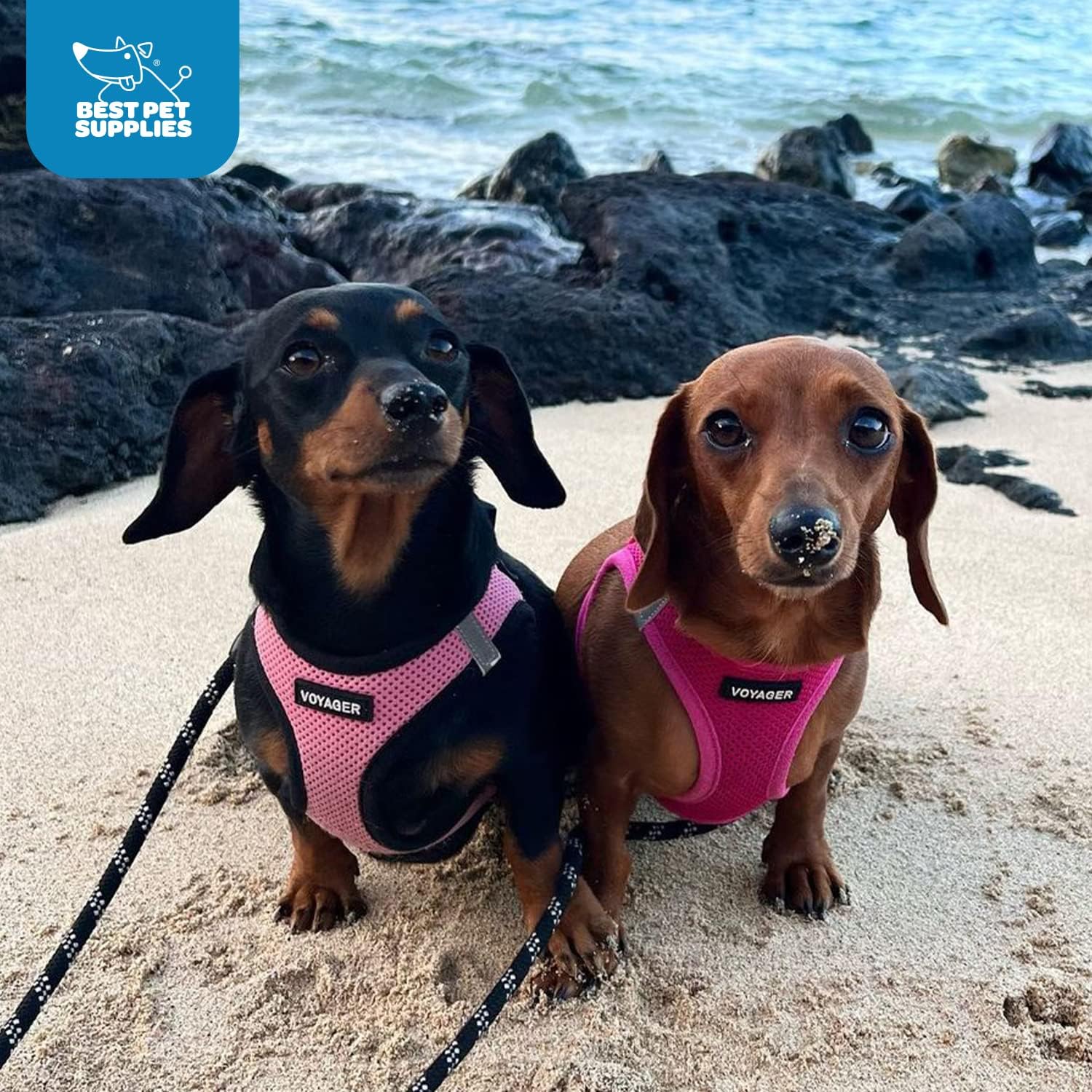Best Pet Supplies Voyager Step-in Air Harness - All Weather Mesh, Reflective, No Pull Harness for Dogs, Cats - Secure with Hook & Loop Fastener, Buckle, Double D-Rings - Fuchsia, S - Image 10