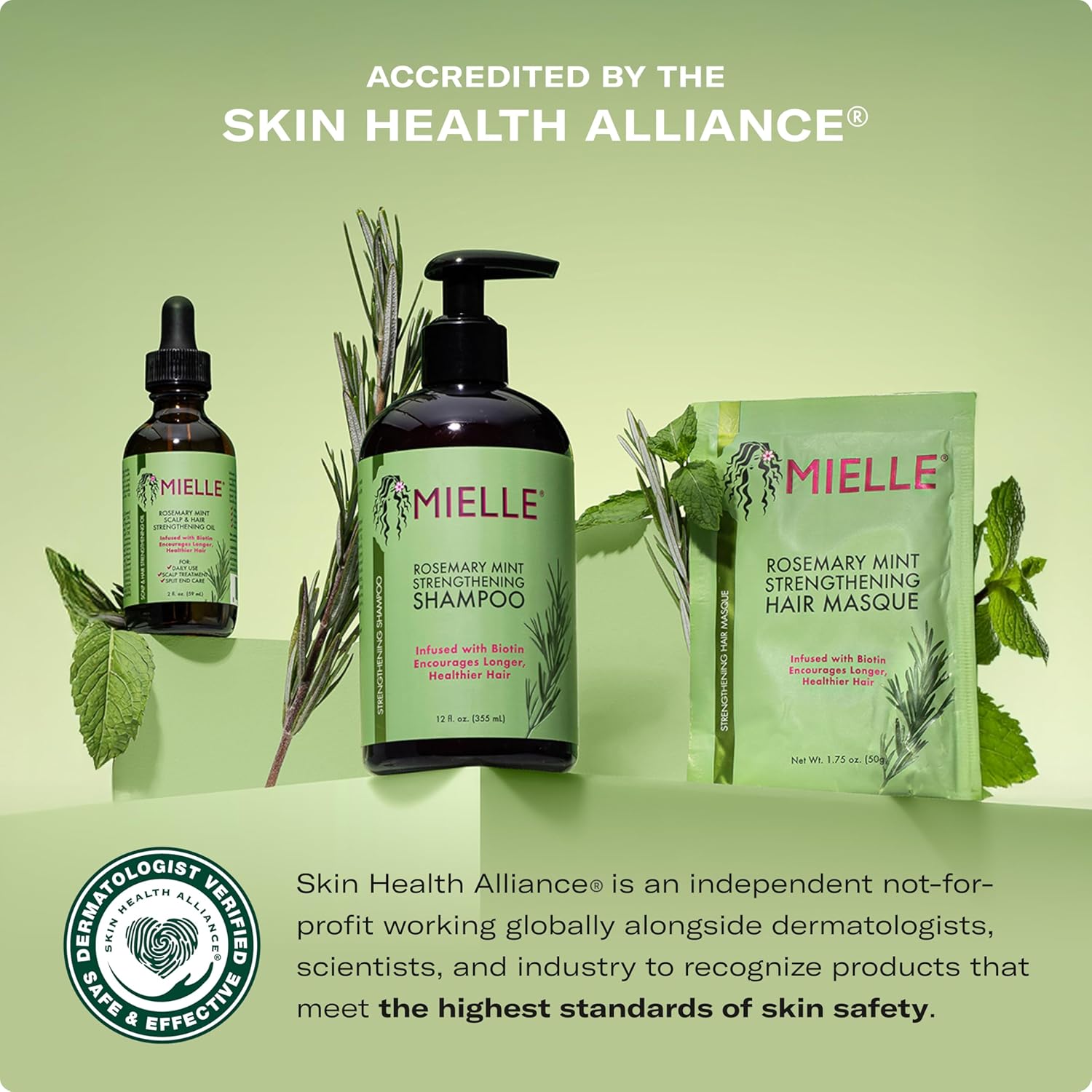 Mielle Organics Rosemary Mint Hair Strengthening Biotin Shampoo - Moisturizing Hair Shampoo for Women and Men to Gently Cleanse, Repair & Protect Strands (12 oz) - Image 2