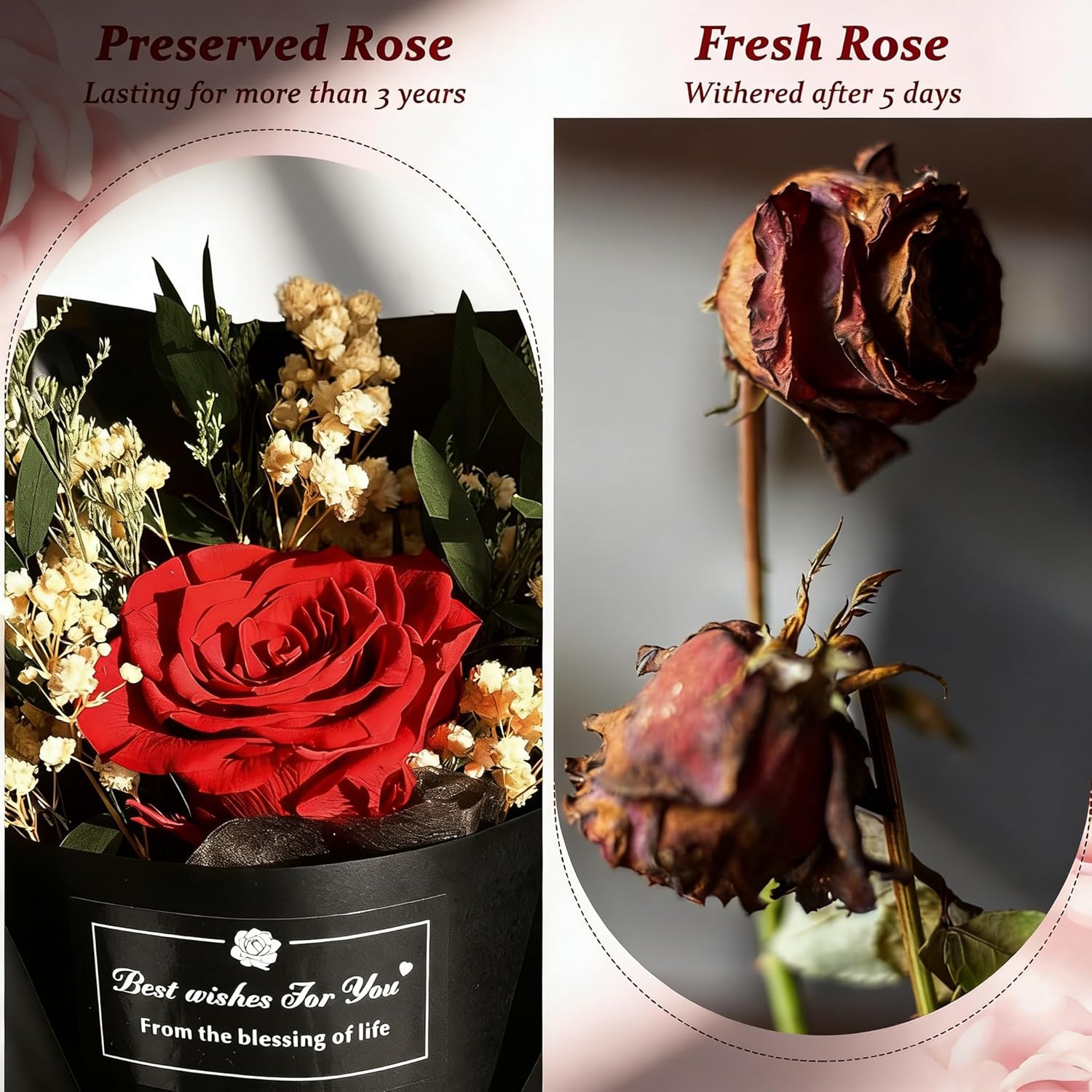 Real Forever Flower Roses for Delivery Prime Preserved Roses in Gift Box with Baby's Breath, Pearls, Greeting Card, Red Rose for Women, Valentine‘s Day Gift Give Girlfriend/Mother/Wife‘s Anniversary - Image 3