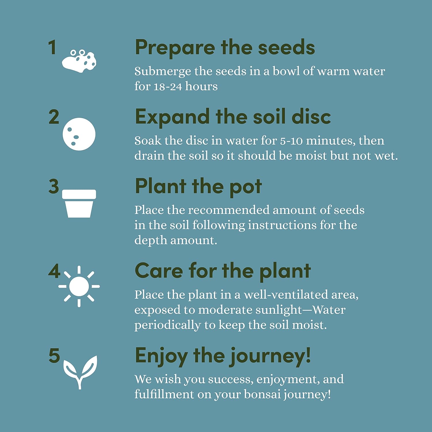 Bonsai Starter Kit - Gardening Easter Gift for Women & Men - Bonsai Tree Growing Garden Crafts Hobby Kits for Adults, Unique DIY Hobbies for Plant Lovers - Unusual Christmas Gifts Ideas - Image 5