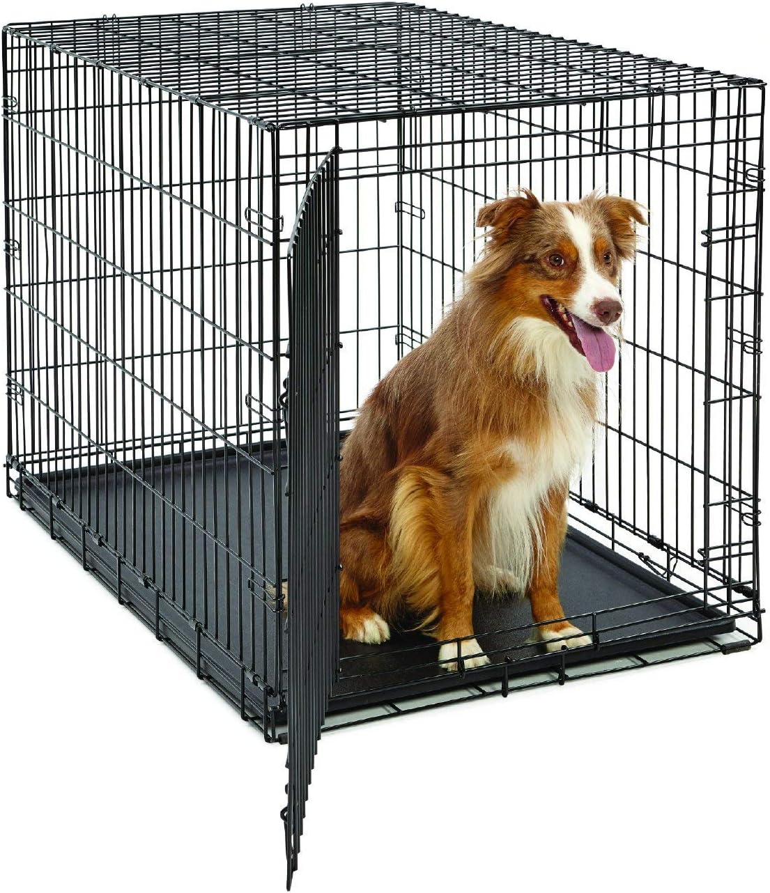 MidWest Homes for Pets 42-Inch LifeStages Crate for Large Breeds, 71-90 lbs, Single Door Folding Dog Crate with Divider Panel, Leak-Proof Tray & Secure Latch, Heavy-Duty & Easy to Assemble