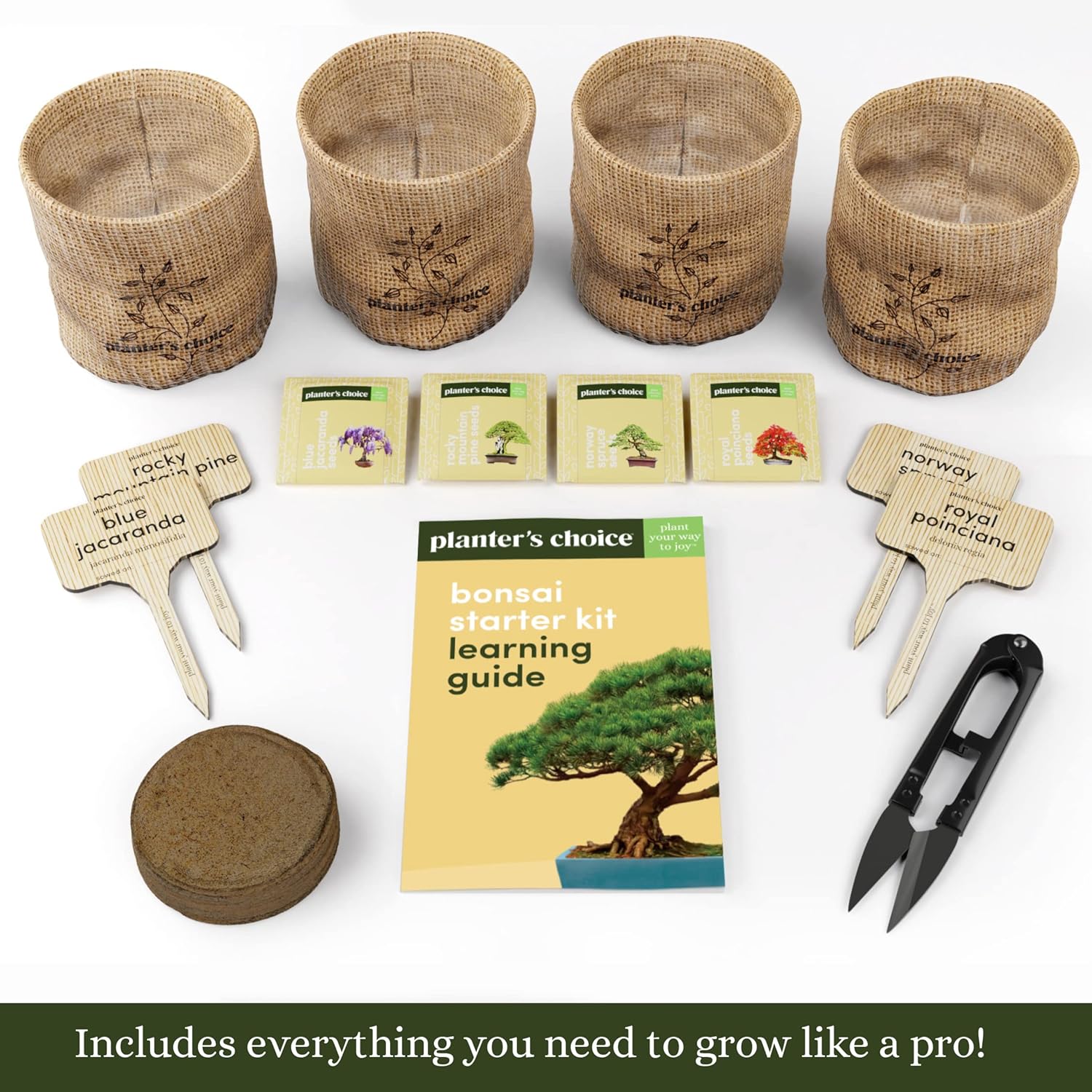 Bonsai Starter Kit - Gardening Easter Gift for Women & Men - Bonsai Tree Growing Garden Crafts Hobby Kits for Adults, Unique DIY Hobbies for Plant Lovers - Unusual Christmas Gifts Ideas - Image 2