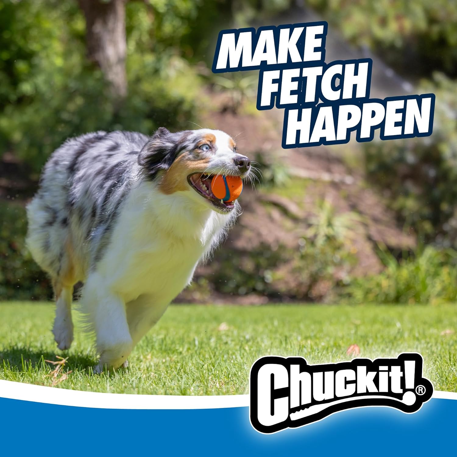 Chuckit! Dog Balls - Interactive Dog Toys, High-Bounce Fetch Ball, Ultra and Rugged Balls, Durable - Size Medium, 2.5-inch Diameter, Set of 3 - Image 2