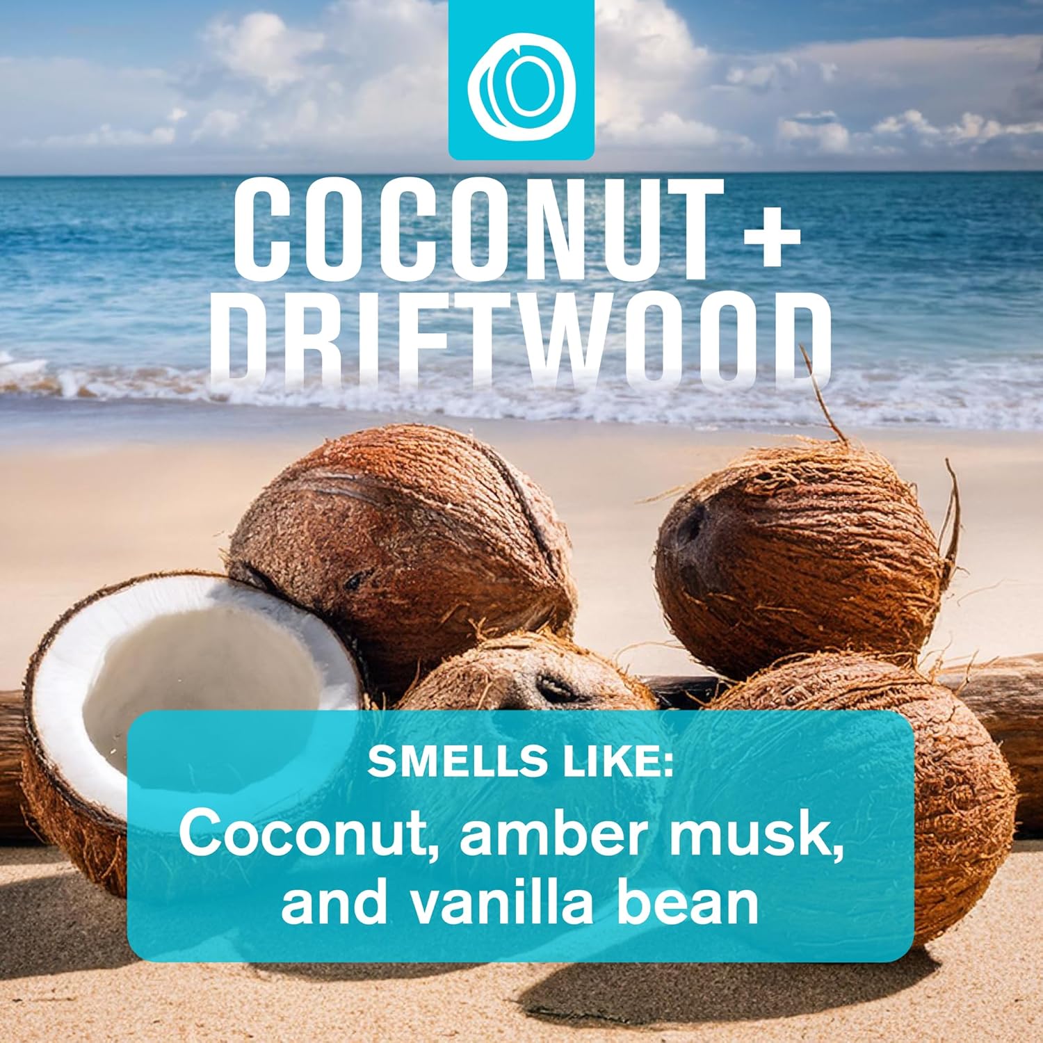 Every Man Jack Men's Bath and Body Gift Set - Coconut + Driftwood Scent - Clean Ingredients - Includes Hydrating Body Wash, 2-in-1 Shampoo, Aluminum-free Deodorant & Face Wash - Image 3