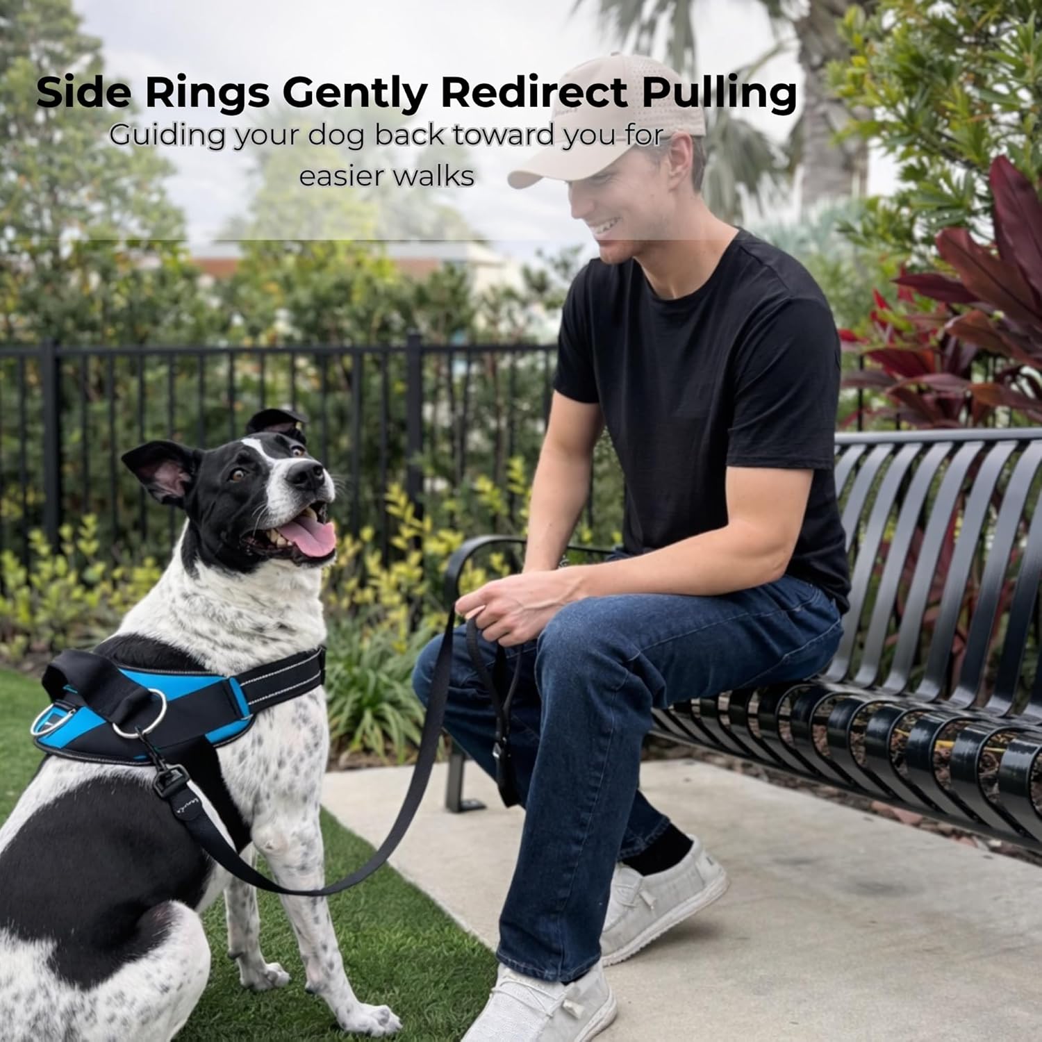 ShawnCo Essential Dog Harness, No-Pull Pet Vest with 3 Leash Clips, No Choke, Reflective, Adjustable and Padded, for Easy Walking and Training for Small, Medium and Large Dogs (Oceanic Blue, S) - Image 3