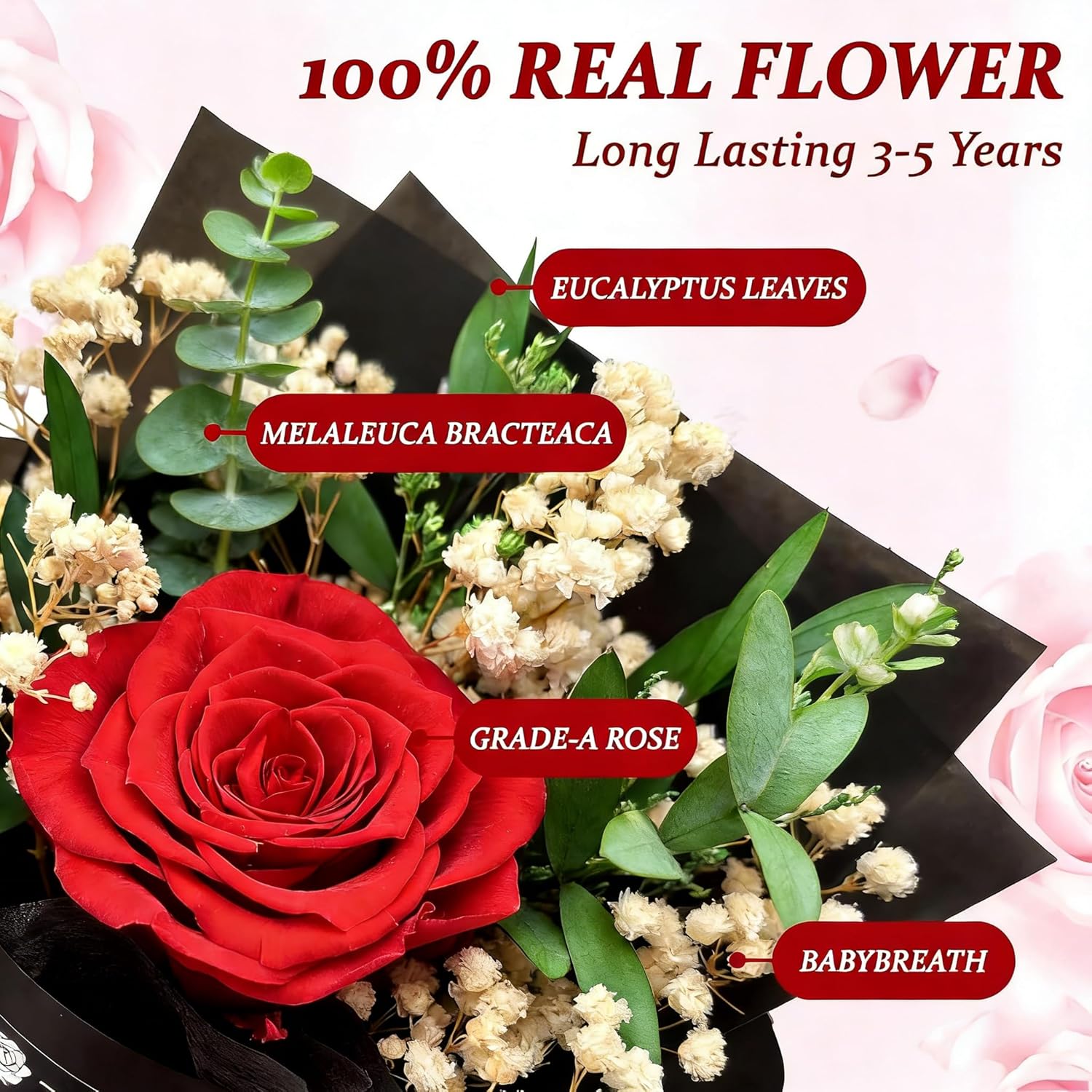 Real Forever Flower Roses for Delivery Prime Preserved Roses in Gift Box with Baby's Breath, Pearls, Greeting Card, Red Rose for Women, Valentine‘s Day Gift Give Girlfriend/Mother/Wife‘s Anniversary