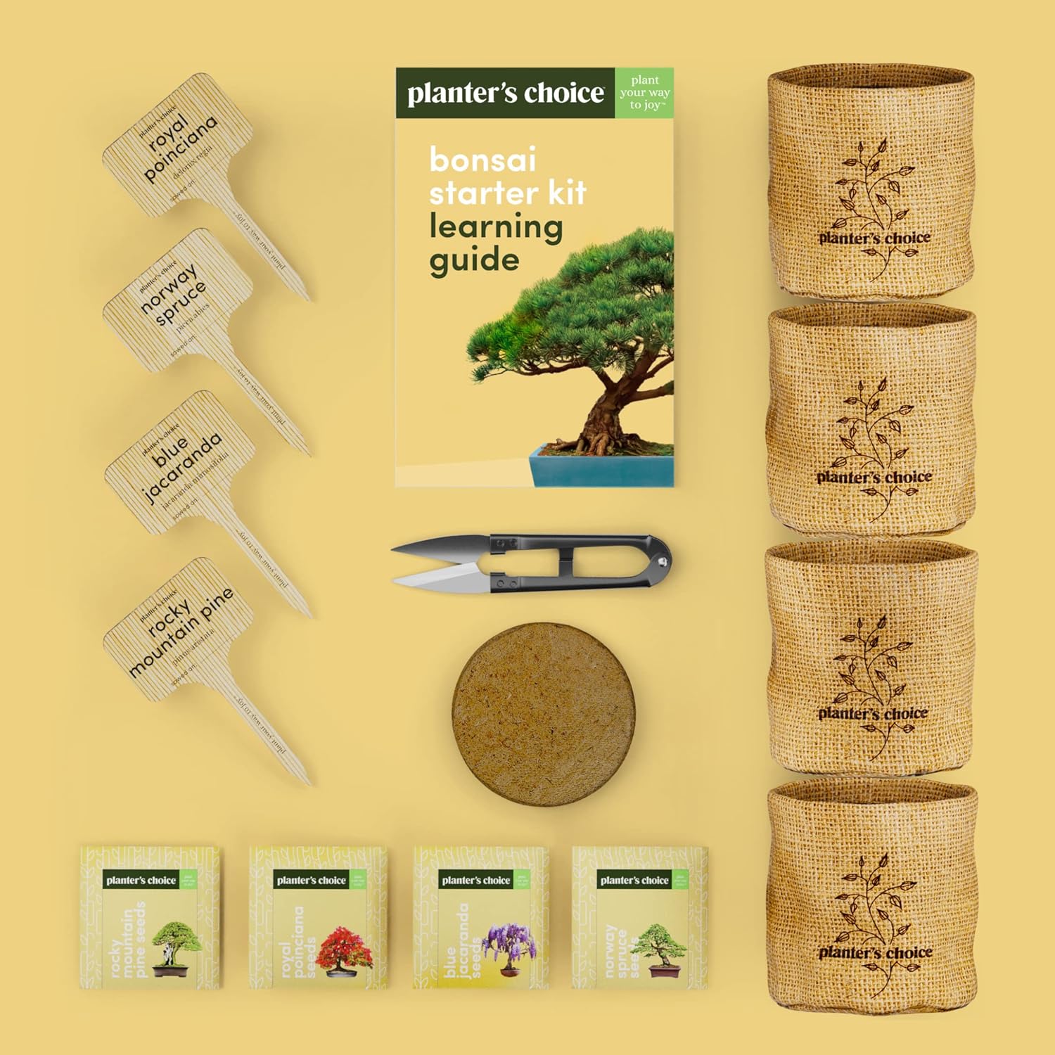 Bonsai Starter Kit - Gardening Easter Gift for Women & Men - Bonsai Tree Growing Garden Crafts Hobby Kits for Adults, Unique DIY Hobbies for Plant Lovers - Unusual Christmas Gifts Ideas - Image 4