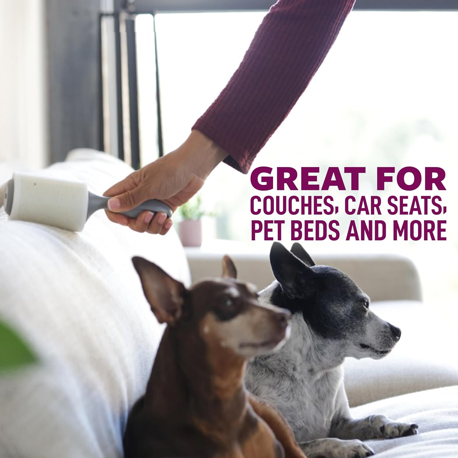 Scotch-Brite Pet Hair Pickup Extra Sticky Large Lint Roller, Designed for Removing Fur + Fluff on Couches, Clothes, Dog and Cat Beds, & More, 1 Pack, 60 Easy-Tear Adhesive Sheets Total - Image 4