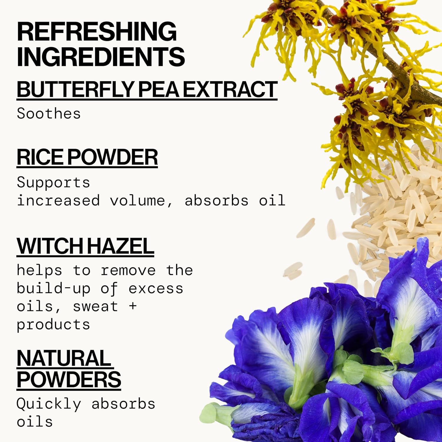Pacifica Dry Shampoo Powder - Best Day Ever Waterless Shampoo & Instant Volumizer - adds Texture, Refreshes & Absorbs Oil, Non-Aerosol for Women of All Hair Types Natural & Vegan Dermatologist Tested - Image 6