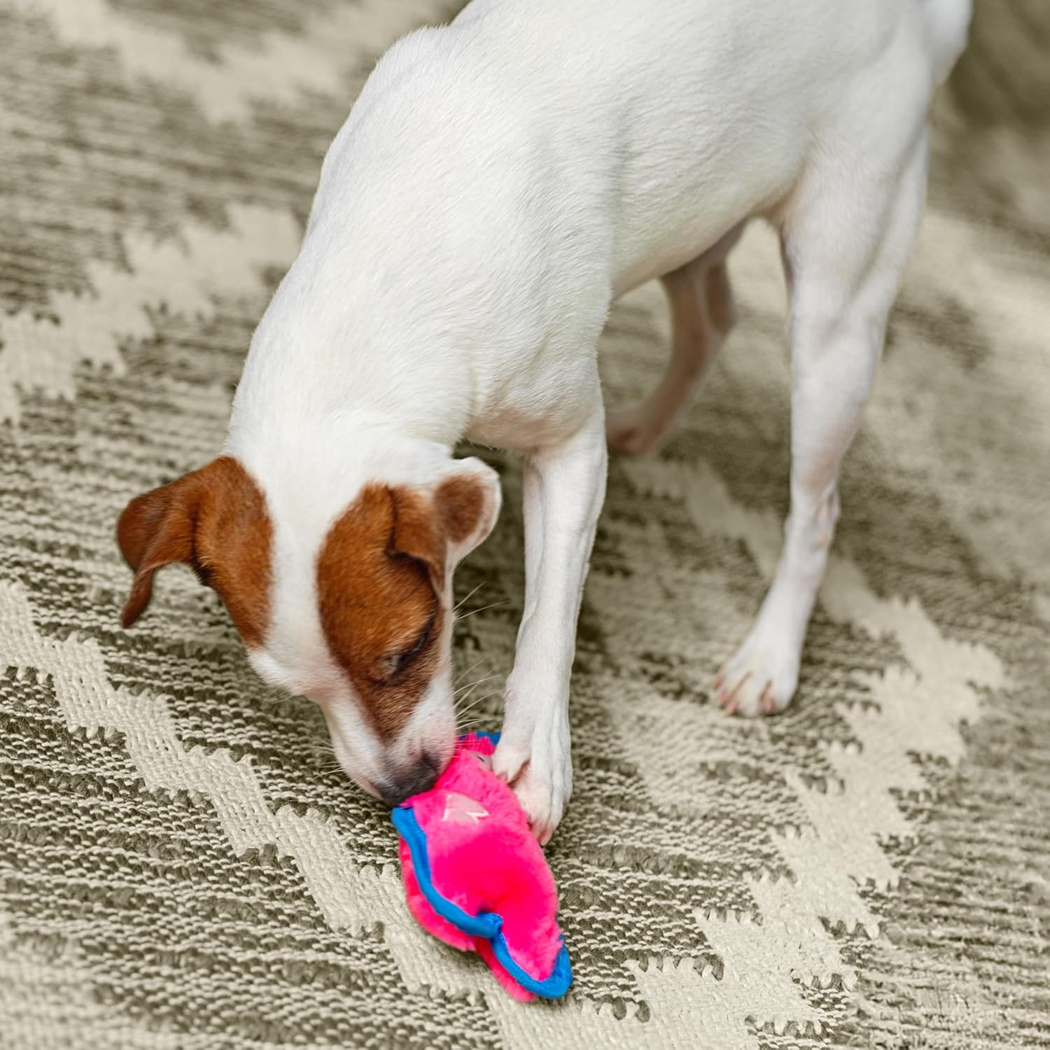 Outward Hound Durablez Minis – Squeaky Plush Dog Toy, No Stuffing for Less Mess, Interactive & Tough, Jumbo Squeaker, Puppies & Small Dogs, Pig, 6.8" - Image 5
