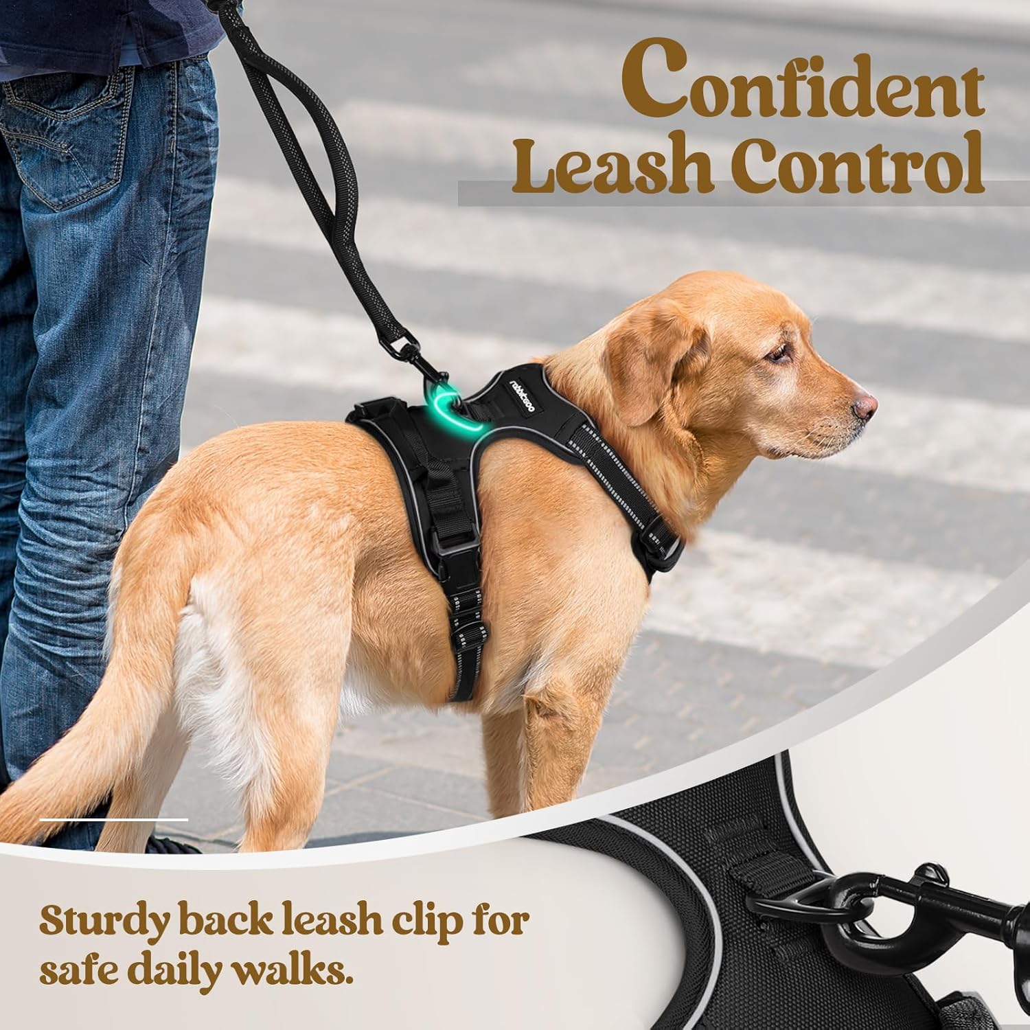 rabbitgoo Dog Harness No Pull with 2 Leash Clips, Adjustable Soft Padded, Reflective Oxford No Choke Pet Vest with Easy Control Handle for Medium Sized Dogs, Black, M - Image 6