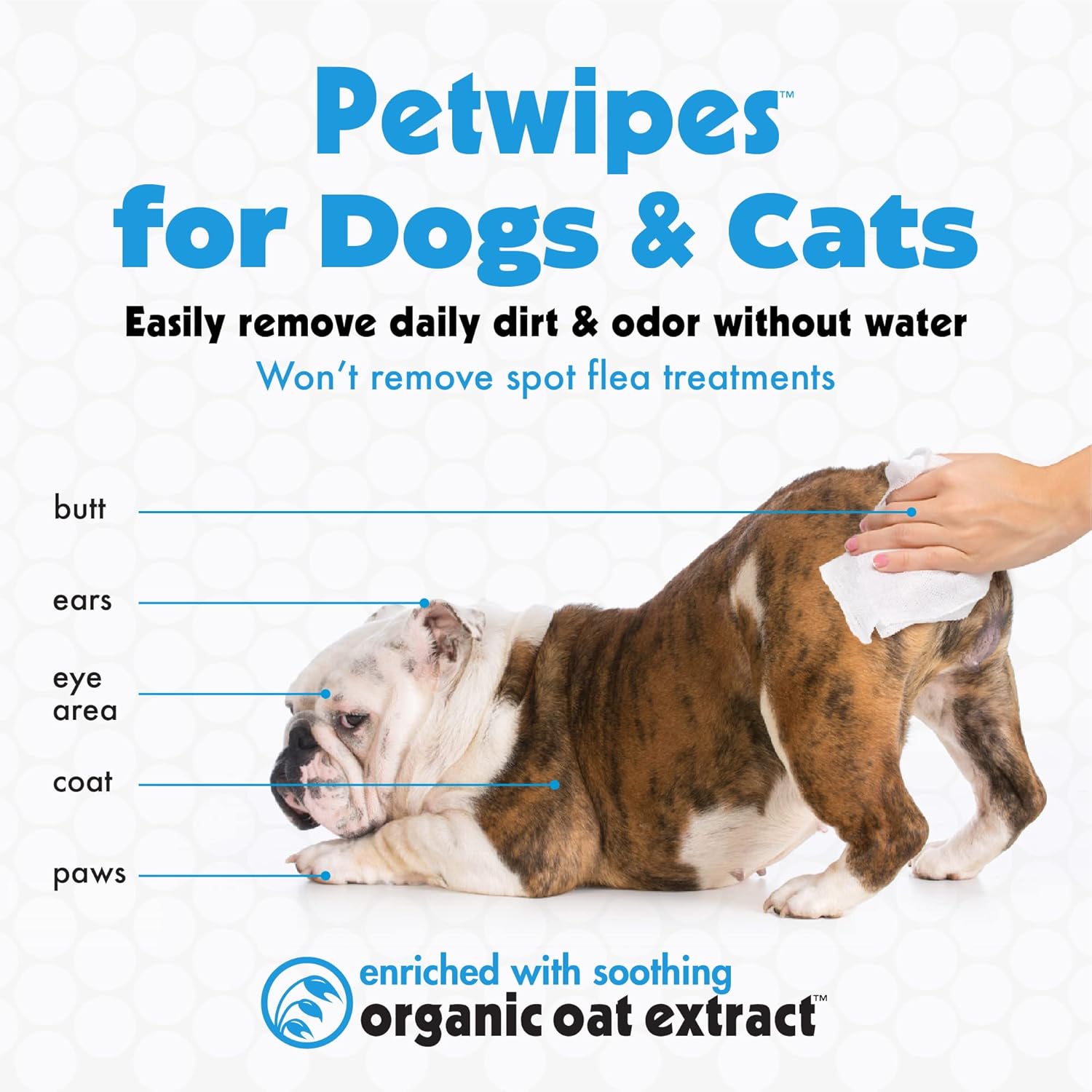 Petkin Large Pet Wipes for Dogs and Cats, 200 Count, Organic Oat Extract, Moistened with Gentle Cleaning Formula, Ideal for Home or Travel - Image 3