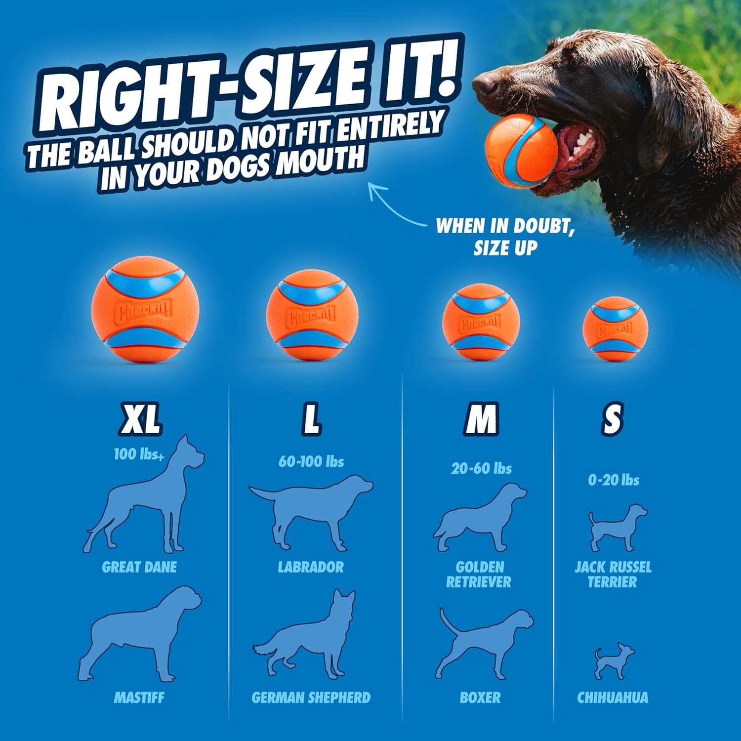 Chuckit! Dog Balls - Interactive Dog Toys, High-Bounce Fetch Ball, Ultra and Rugged Balls, Durable - Size Medium, 2.5-inch Diameter, Set of 3 - Image 4