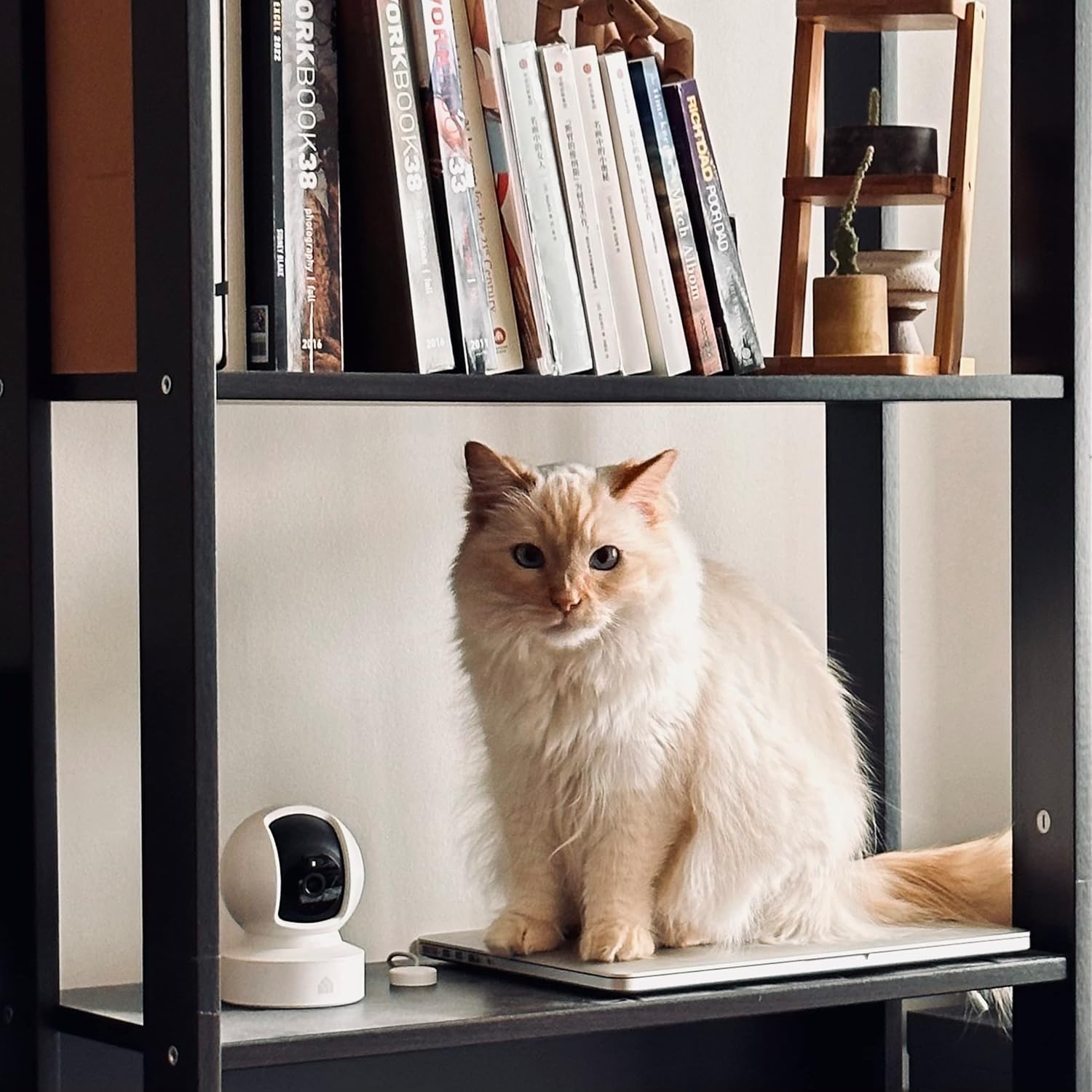 Kasa 1080p Indoor Pan/Tilt Wired Security Camera - Works as a Baby & Pet Monitor, Motion Detection & Tracking, 2-Way Audio, Night Vision, Subscription-Free Local Storage or Optional Cloud, EC70 - Image 5