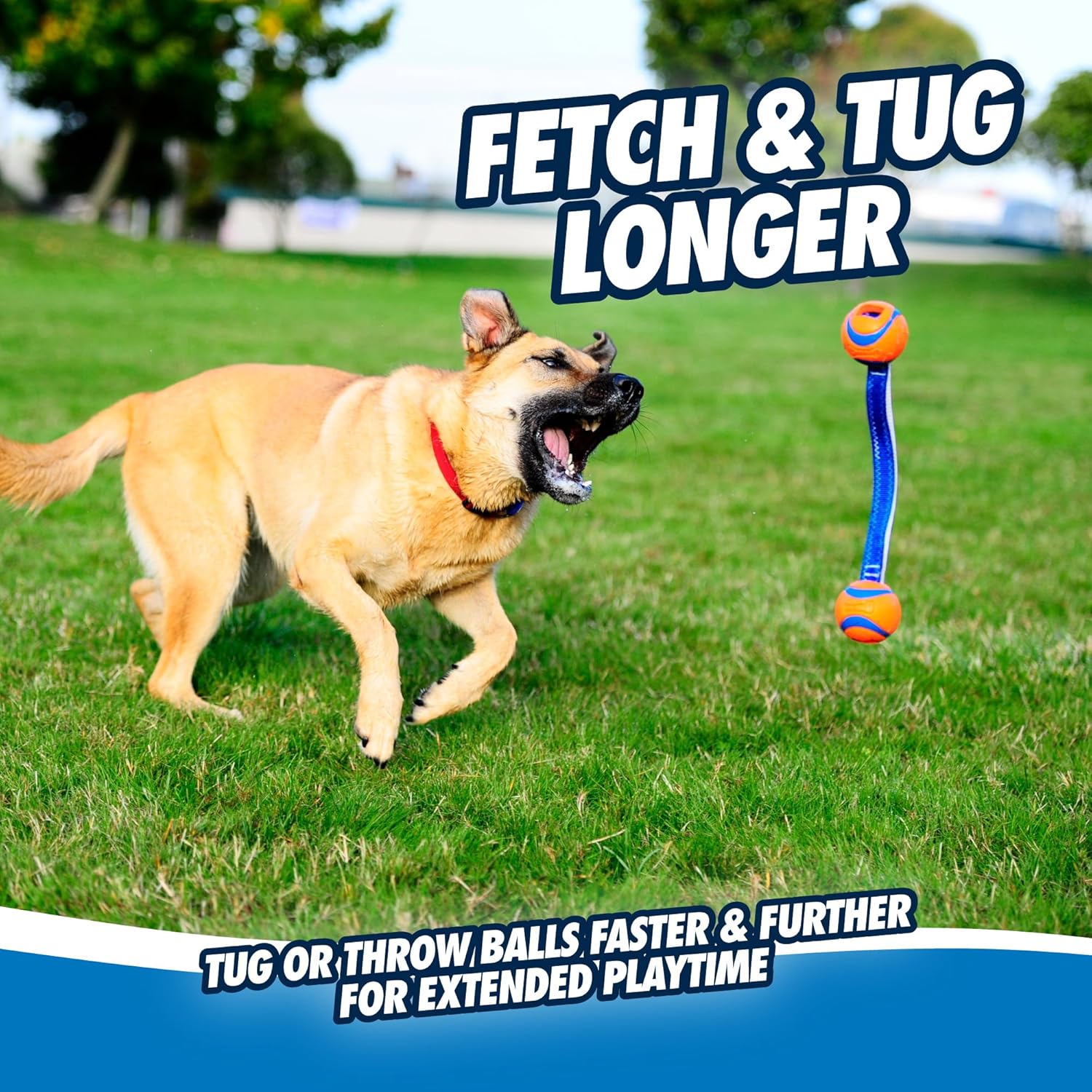 Chuckit! Ultra Duo Tug Dog Toy - Two Ultra Balls on a Durable Nylon Cord Handle - Fetch and Tug-of-War Toy for Dogs - Size Medium - For Breeds 20-60 lbs - 2.5-inch Diameter - Orange and Blue - Image 6