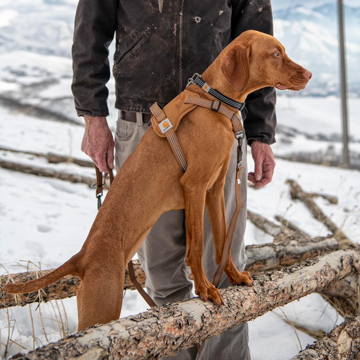 Carhartt Nylon Duck No Pull Dog Harness, Fully Adjustable Dog Harness with Quick Control Handle and Reflective Accents, Carhartt Brown, X-Large - Image 5