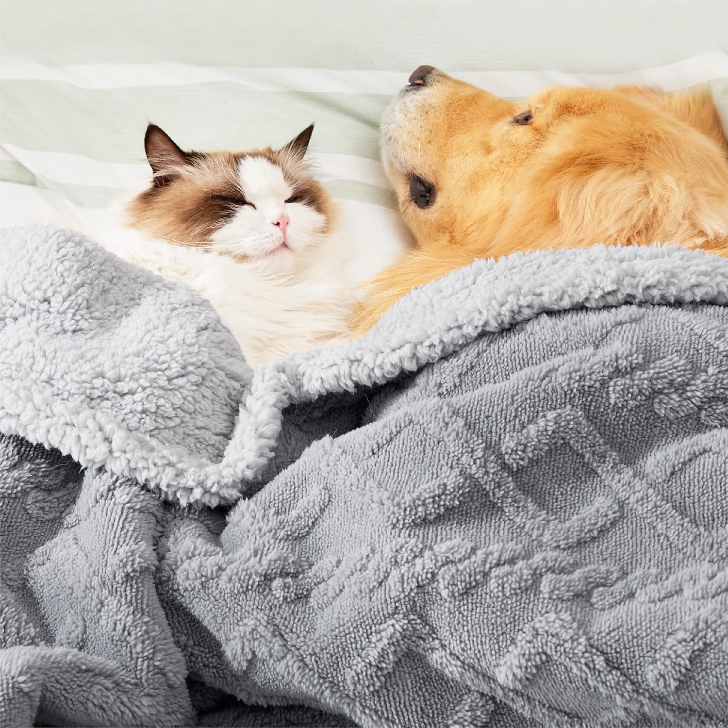 Bedsure Waterproof Dog Blankets for Large Dogs - Pet Blanket for Bed Couch Protector Washable, Premium Jacquard Coral Fleece Cat Throw Blanket, Soft Plush Reversible Furniture Protection, 60x80, Grey - Image 5