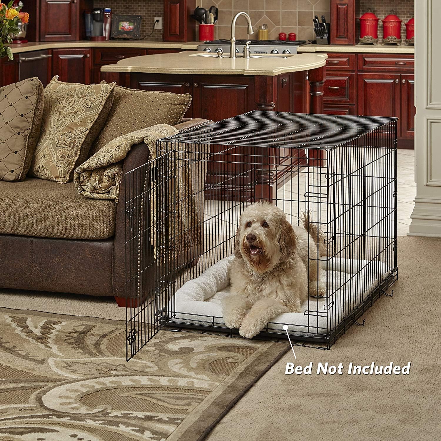 MidWest Homes for Pets 42-Inch LifeStages Crate for Large Breeds, 71-90 lbs, Single Door Folding Dog Crate with Divider Panel, Leak-Proof Tray & Secure Latch, Heavy-Duty & Easy to Assemble - Image 2