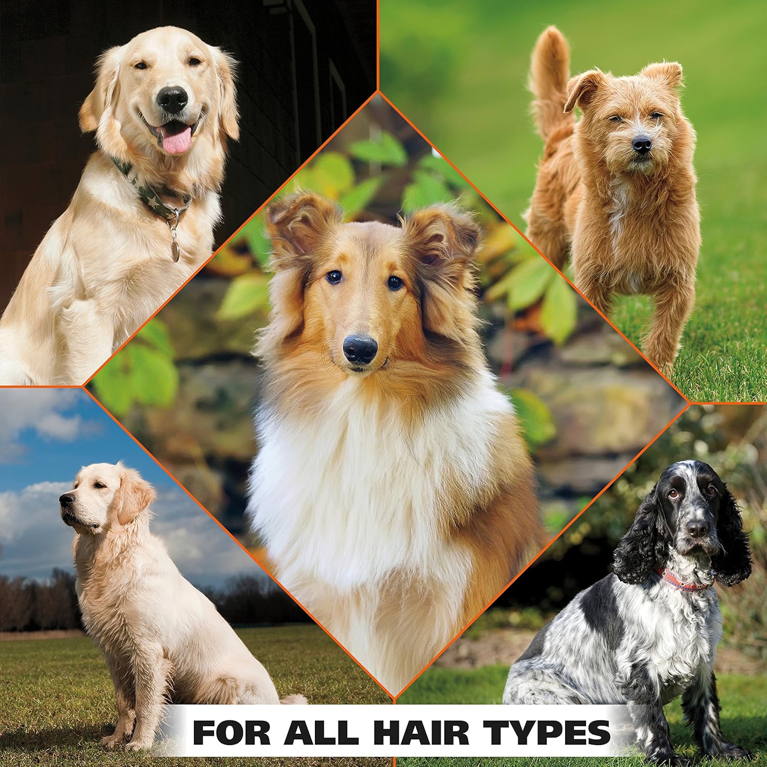 Wahl USA Pet Refresh Cleaning Wipes for All Dog Breeds - Use on Ears, Nose, Paws, Bottom, & Sensitive Areas - 50 Wipes - Model 820017A - Image 6
