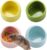 VanEnjoy 4 Pack Small Hamster Food Bowl Ceramic Guinea Pig Food Dish No Spill Hamster Food and Water Bowl Small Animal Food Bowl – Pink Blue Yellow and Green