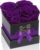 UFOREVER ROSES 4-Piece Preserved Roses in a Box, Preserved Flowers, Roses Gift for Her, Purple