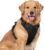 rabbitgoo Dog Harness No Pull with 2 Leash Clips, Adjustable Soft Padded, Reflective Oxford No Choke Pet Vest with Easy Control Handle for Large Dogs, Black, XL