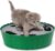 Pawaboo Interactive Cat Toy with Running Mouse, Electronic Motion Cat Toy Automatic Teaser for Indoor Cats, Pop and Play Hide Seek Cat Toys Hunting Mouse for Pet Cat Kitten Play Fun Exercise, Green
