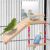 KyoukiBird Perch Platform Bird Toys with Bird Mirror Climbing Ladder Swing, Parakeet Cage Accessories – for Cockatiels, Lovebirds, Budgies,Pacific Parrotlets,Finch,Canaries – Wooden Play Gym