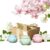 Banami Solid Perfume 3pcs – Jasmine,Gardenias,Magnolia | Luxury Gift Set for Women’s | Long Lasting,Handmade,Alcohol Free（Office Elegance）
