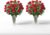 Aquarossa Farms – Flowers for Delivery, Fresh Flowers Bouquet, Handpicked from the Farm, Gift for Birthday, Anniversary, or Just Because – 48 Fresh Roses