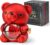 Cute Teddy Bear with Preserved Rose – A Real Rose Flower in Bear with Elegant Gift Box – Romantic Gift for Her in Mother’s Day, Weddings, Anniversaries, and Bridal Showers (Red)