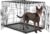 Sweetcrispy Large Dog Crate, 36 Inch Double Door Folding Metal Wire Dog Cage with Plastic Leak-Proof Pan Tray, Pet Kennel for Indoor, Outdoor, Travel