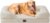 EHEYCIGA Orthopedic Dog Beds for Extra Large Dogs, Waterproof Memory Foam XL Pet Bed with Sides, Non-Slip Bottom and Egg-Crate Foam Big Dog Couch Bed with Washable Removable Cover, Beige