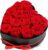 Preserved Roses Heart Shape Box Valentines Day Gifts for Her Mothers Day Forever Flowers (Red, 16 Roses)
